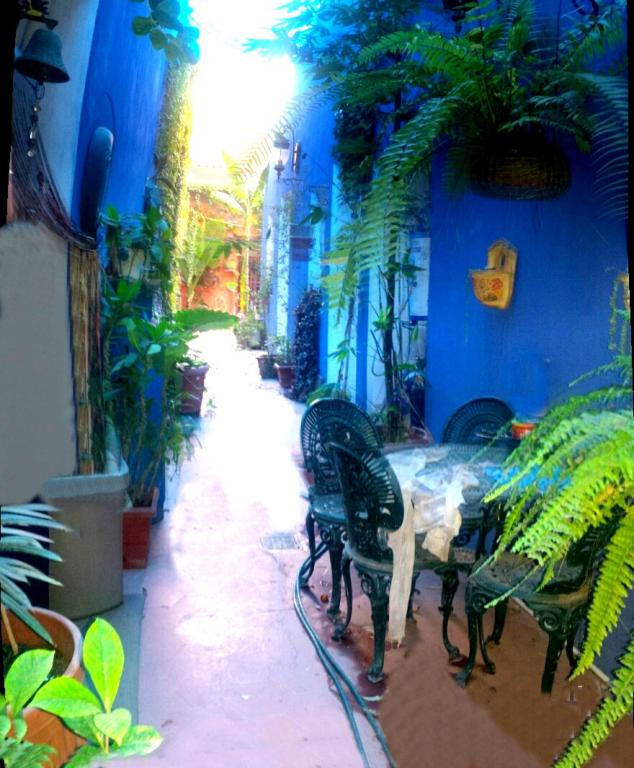 bg