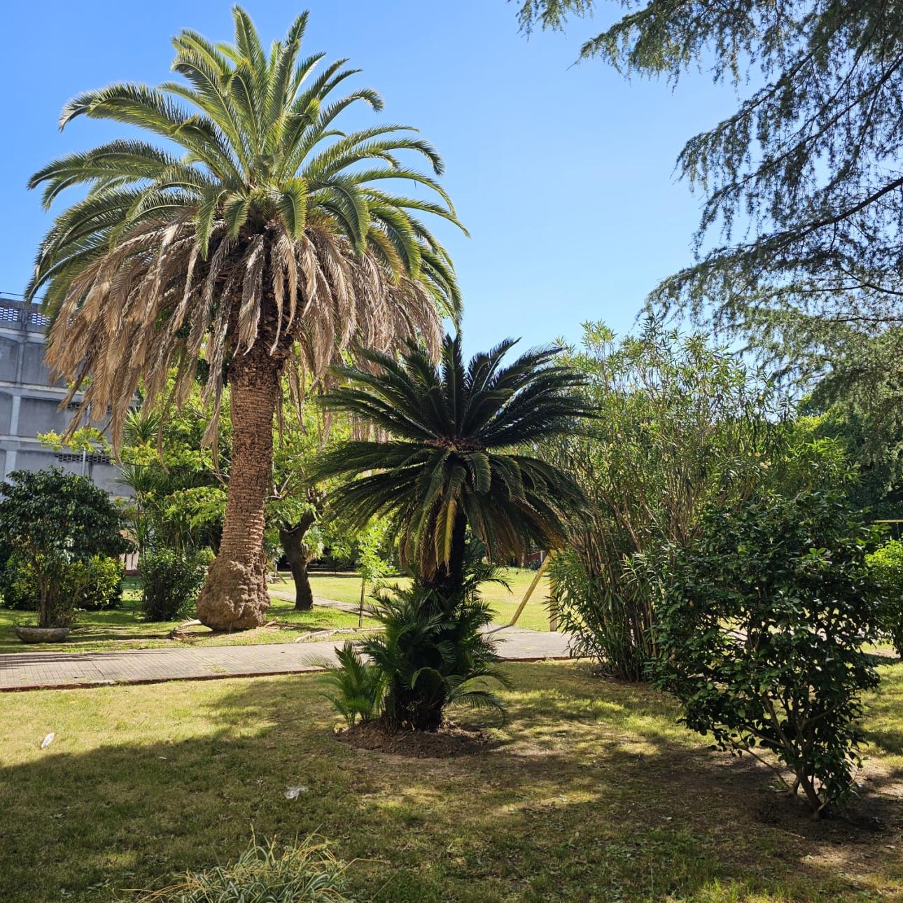 Venta de Departamento en Villa Ballester   General San Martín