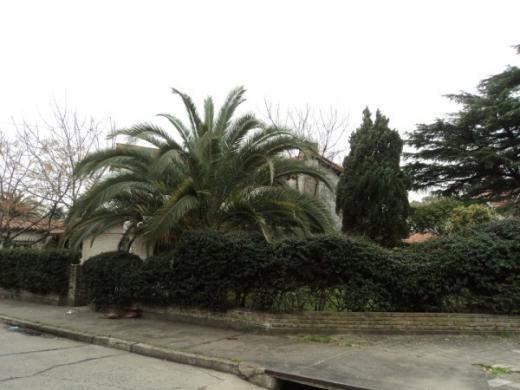 CHALET CD. JARDIN 7 AMB.