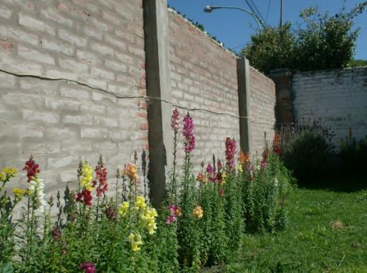 BARTOLINI PROPIEDADES, Venta de Chalet en Constitución   Mar del Plata Foto2 