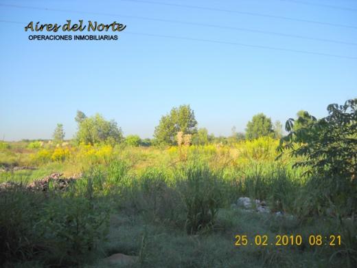 2,5 HECTAREAS EN BENAVIDEZ A MTROS DE R27 PEGADAS A NORDELTA