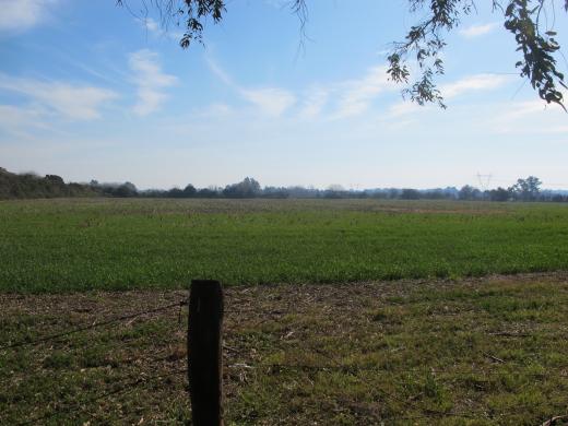 CAMPO OPEN DOOR