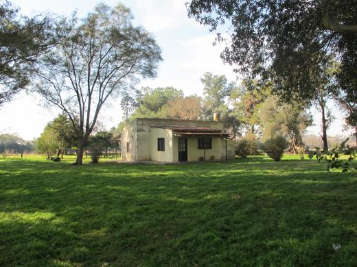 CAMPO OPEN DOOR
