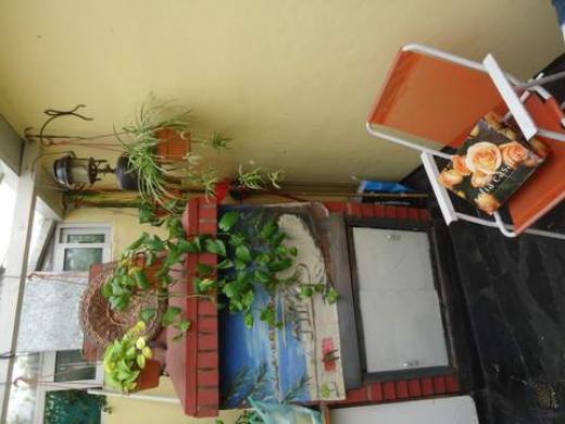susana mercere, Venta de Ph en Pompeya   Mar del Plata Foto5 