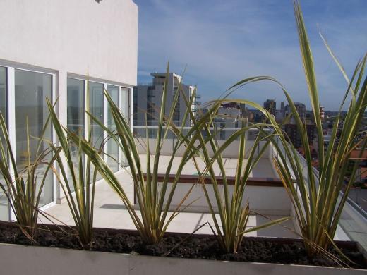 Abdala Negocios Inmobiliarios, Venta de Departamento en Playa Grande   Mar del Plata Foto4 