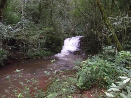 100 % turisticas saltos y cascadas
