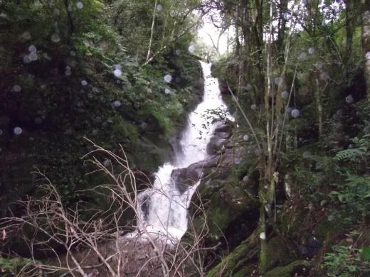 100 % turisticas saltos y cascadas