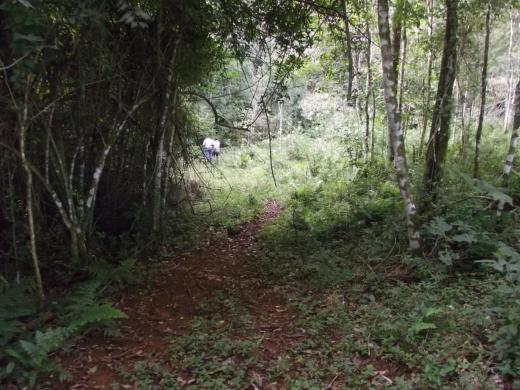 100 % turisticas saltos y cascadas