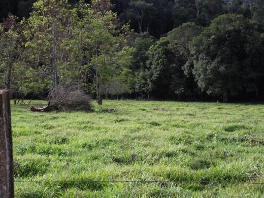 100 % turisticas saltos y cascadas