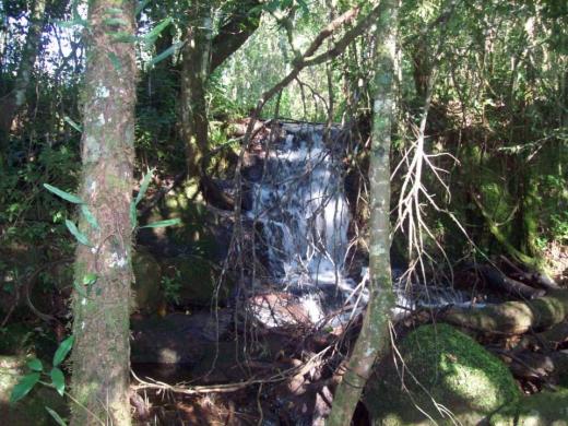 12 has saltos del Mocona
