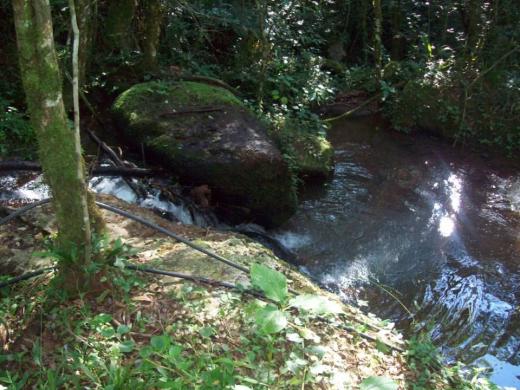 12 has saltos del Mocona