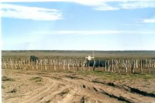 CAMPO VEND0 LA PAMPA