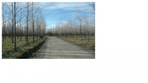 Lote en venta