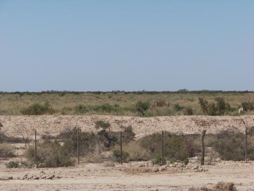 alquilo campo parte en san juan