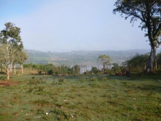 Campo de 450 has en San Gotardo, Misiones