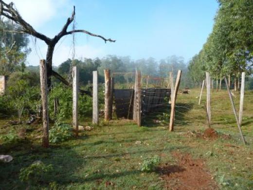 Campo de 450 has en San Gotardo, Misiones