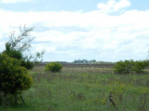 CAMPO de 65 Has 16 KM DE PINAMAR SOBRE RUTA 74Des