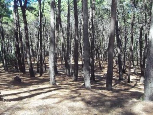 VENTA- MAR AZUL -LOTE DE 600 M2