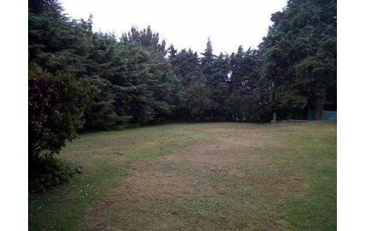 Lote 1000 mts