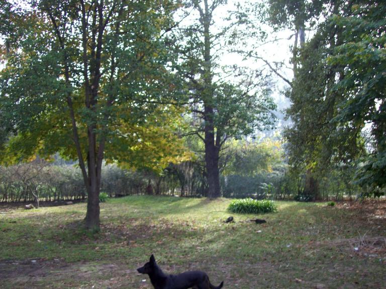LOTE EN VENTA