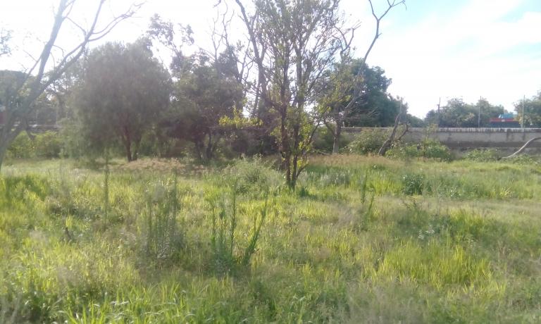 VENTA DE TERRENO EN SAN JUAN DEL RIO QUERETARO
