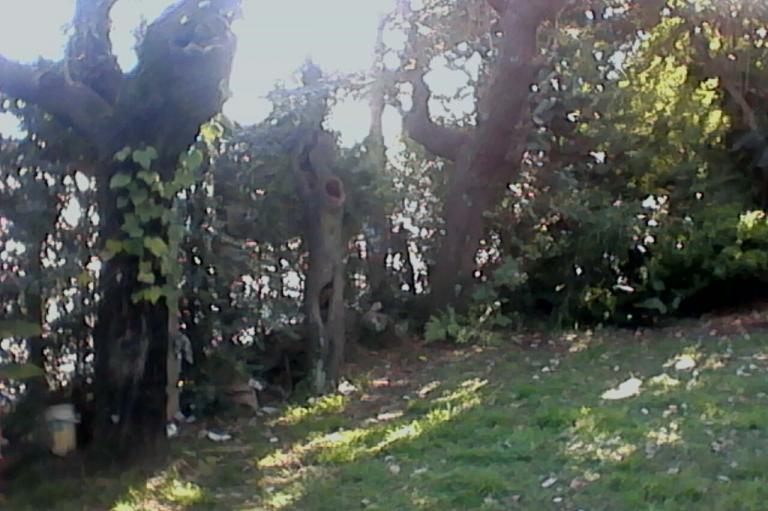 bg