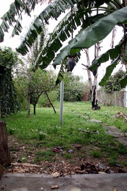 PACHECO: ALVEAR AL 600 - CASA DE 3 AMB. CON DEPTO DE 2 AMB.