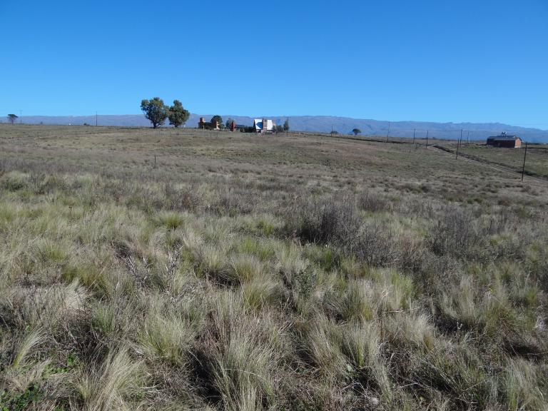 DOCE (12) Lotes en Yacanto de Calamuchita