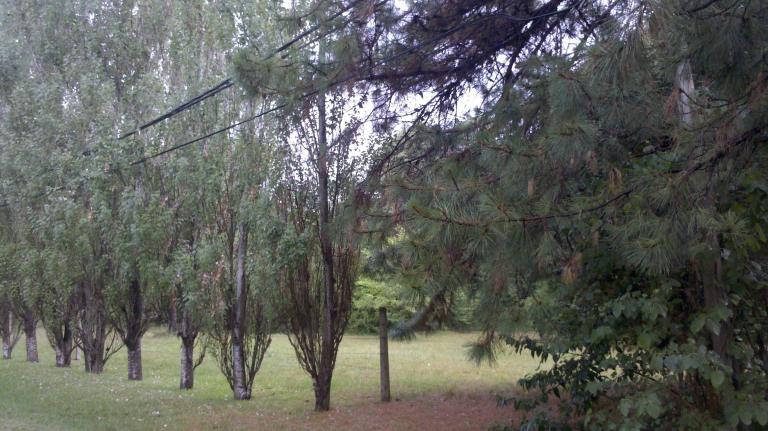Vendo terreno para desarrollo urbano