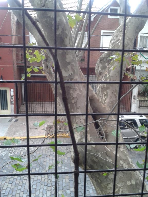 Gloria Saul Prpiedades, Venta de Departamento en Florida   Vicente López Foto2 