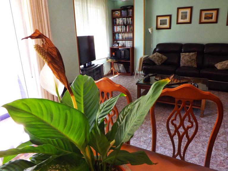 LandAhomes, Venta de Departamento en    Torrevieja Foto2 