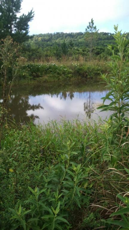 VENDO CHACRA 12 has.-