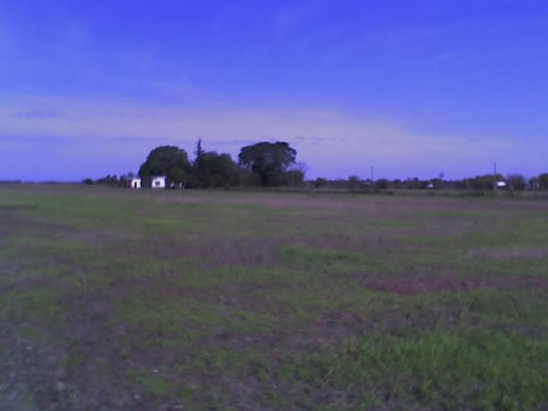 Campo 10,5 has. c/ Casco (Apto Loteo) -Timbúes (Sta. Fe)-