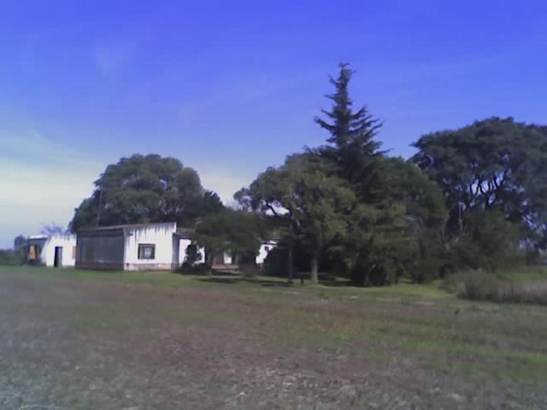 Campo 10,5 has. c/ Casco (Apto Loteo) -Timbúes (Sta. Fe)-