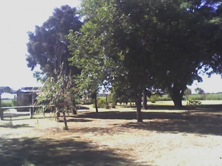 Campo 10,5 has. c/ Casco (Apto Loteo) -Timbúes (Sta. Fe)-