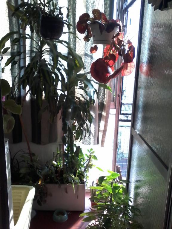 Almagro 3 ambientes c/balcon