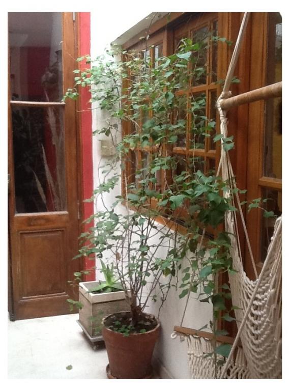 *VENDIDO * - Hermoso  estilo unico P.H. al frente 2 plantas