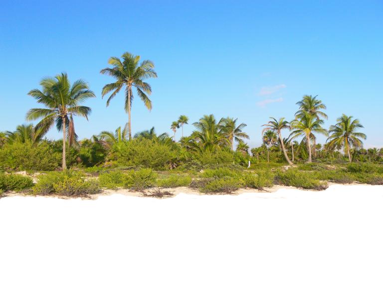 Terreno frente a la playa