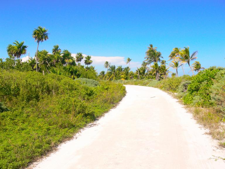 Terreno frente a la playa