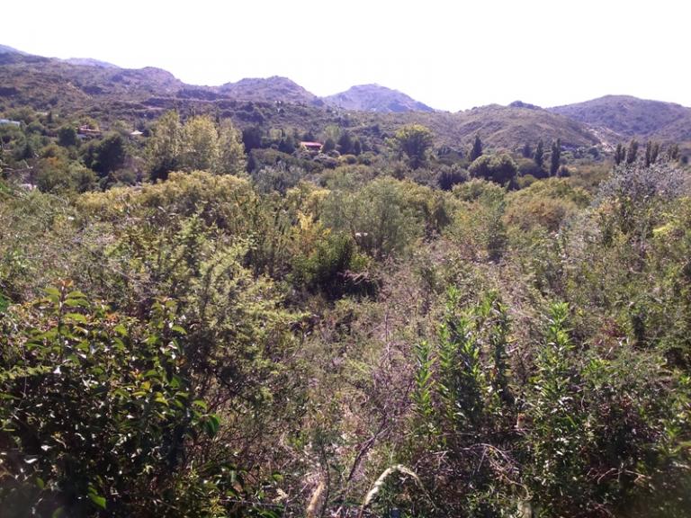 Terreno, altos de Potrero de los Funes con salida a río