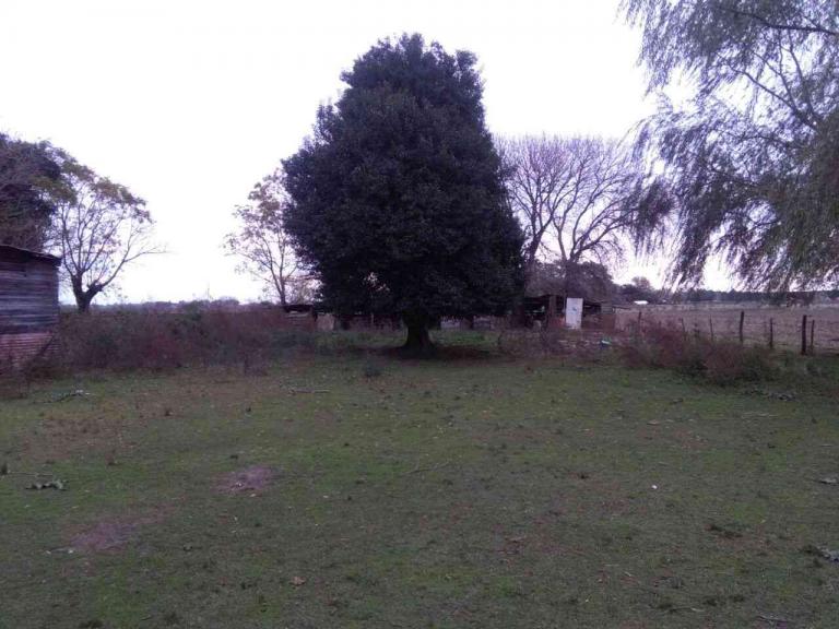 CAMPO MIXTO DE 16.6 HA CON MEJORAS A 1000 METROS DEL PUEBLO.