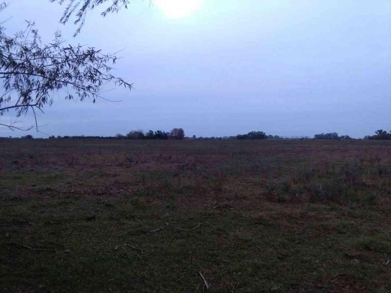 CAMPO MIXTO DE 16.6 HA CON MEJORAS A 1000 METROS DEL PUEBLO.