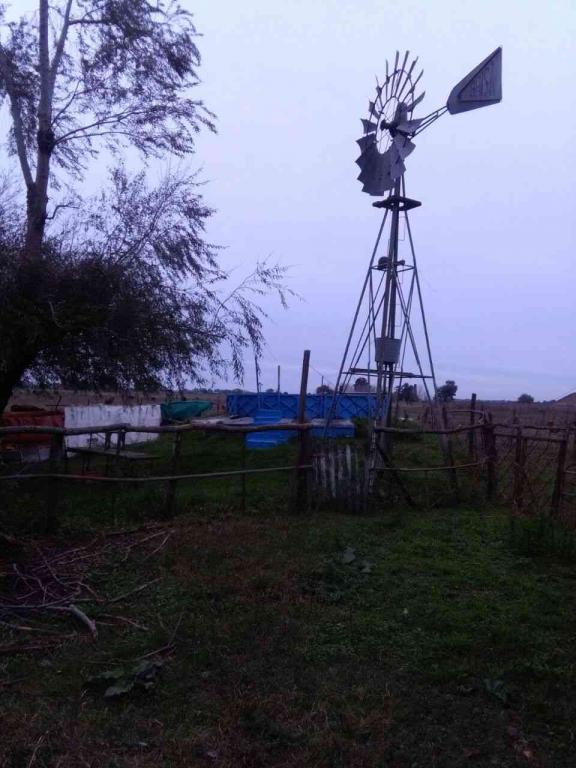 CAMPO MIXTO DE 16.6 HA CON MEJORAS A 1000 METROS DEL PUEBLO.