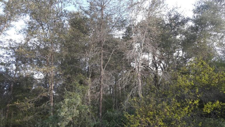 Campo en Formosa