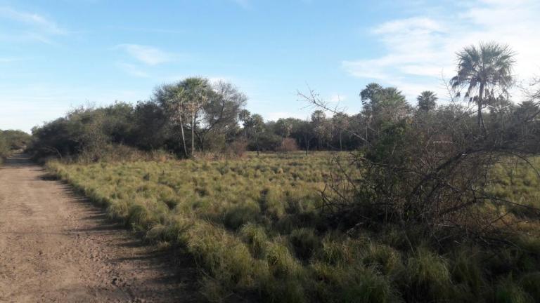 Campo en Formosa