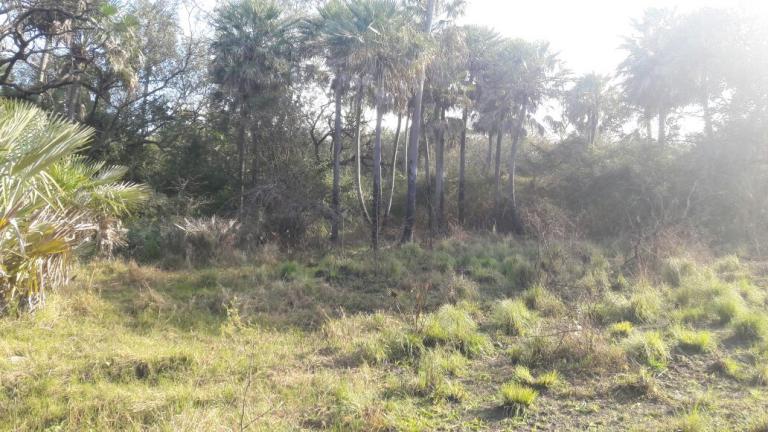 Campo en Formosa