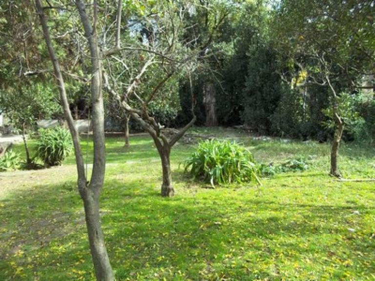 VENTA ITUZAINGO LOTE EN ZONA SEMI- INDISTRIAL