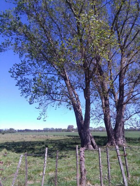 venta 5.28 HECTAREAS
