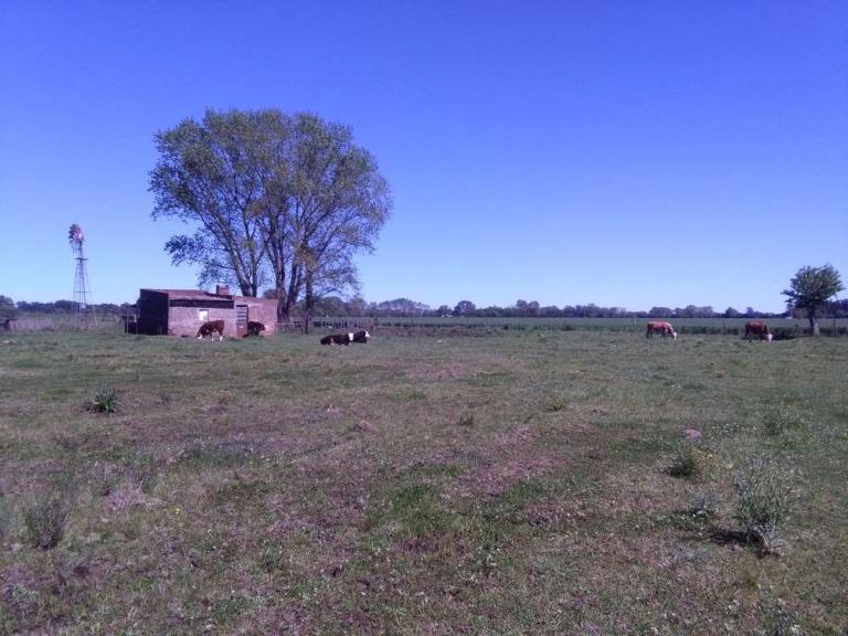 venta 5.28 HECTAREAS