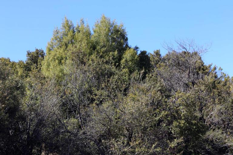 Lote en Entre Cerros
